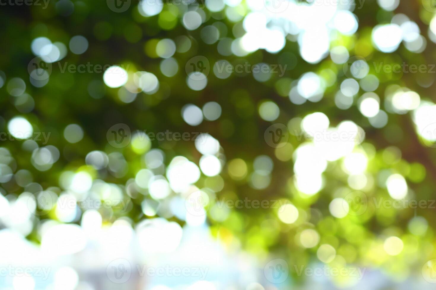 Dom ligero mediante verde árbol en verano mañana, imagen difuminar antecedentes foto