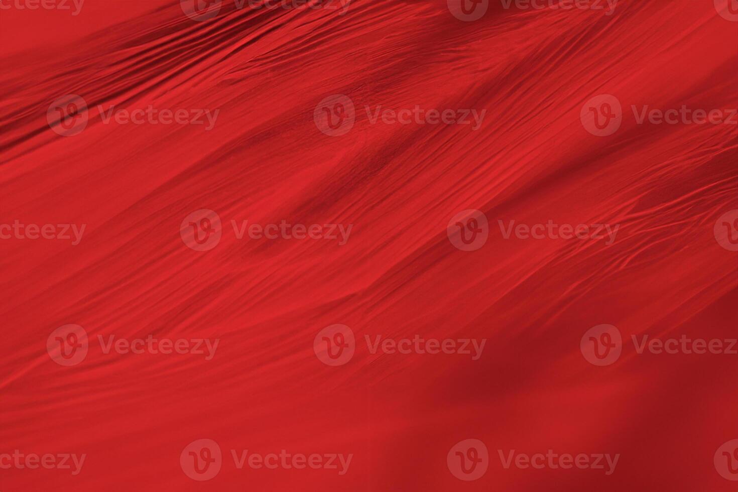 Beautiful dark red maroon feather pattern  texture background photo