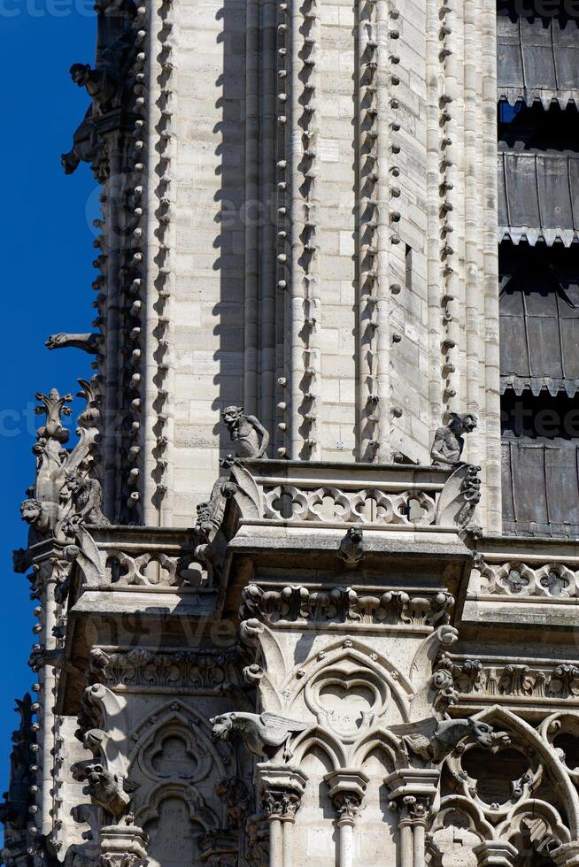 The amazing gargoyles of Notre Dame de Paris in France. A Gothic building constructed during Medieval times, is home to a number of sculptures, including many gargoyles. photo