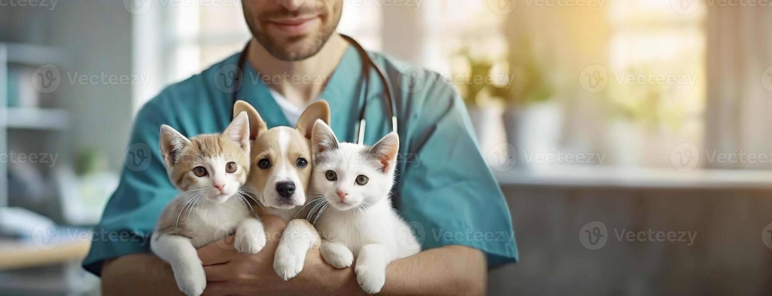 AI Generated Veterinarian holding two puppies and a kitten. A smiling man in blue scrubs holds adorable pets, symbolizing care and compassion for animals. Panorama with copy space. photo