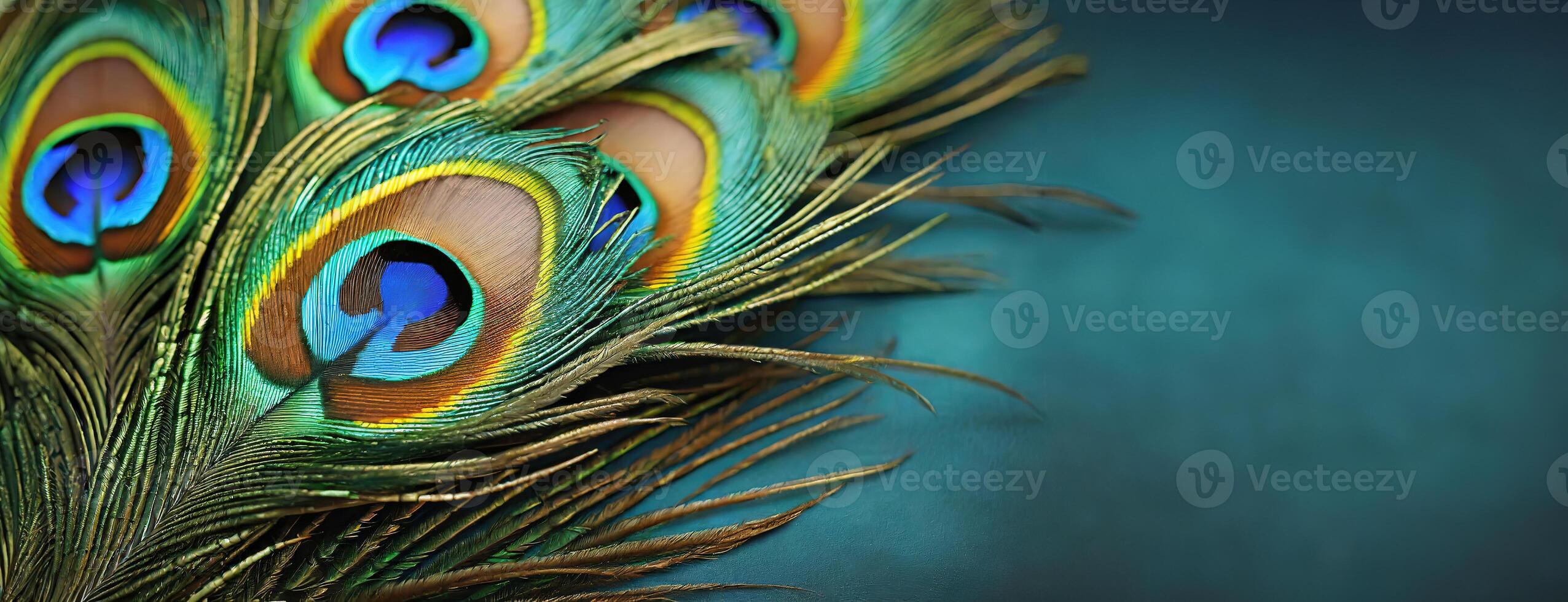 AI Generated Vibrant Peacock Feathers background. Panorama with copy space, minimalistic. photo