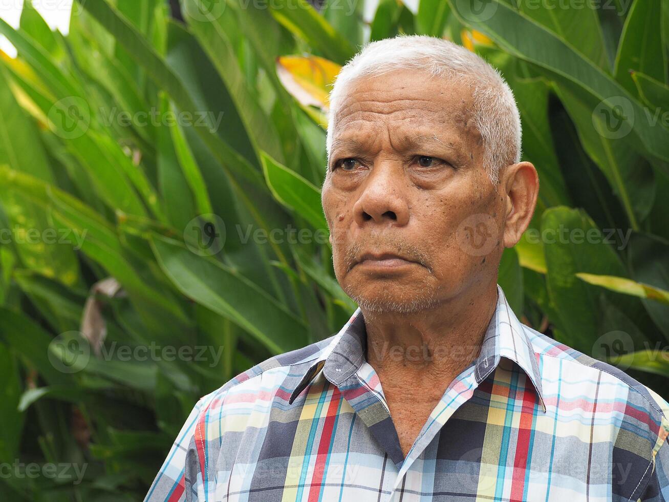 Portrait of an elderly Asian man looking up while standing in a garden photo