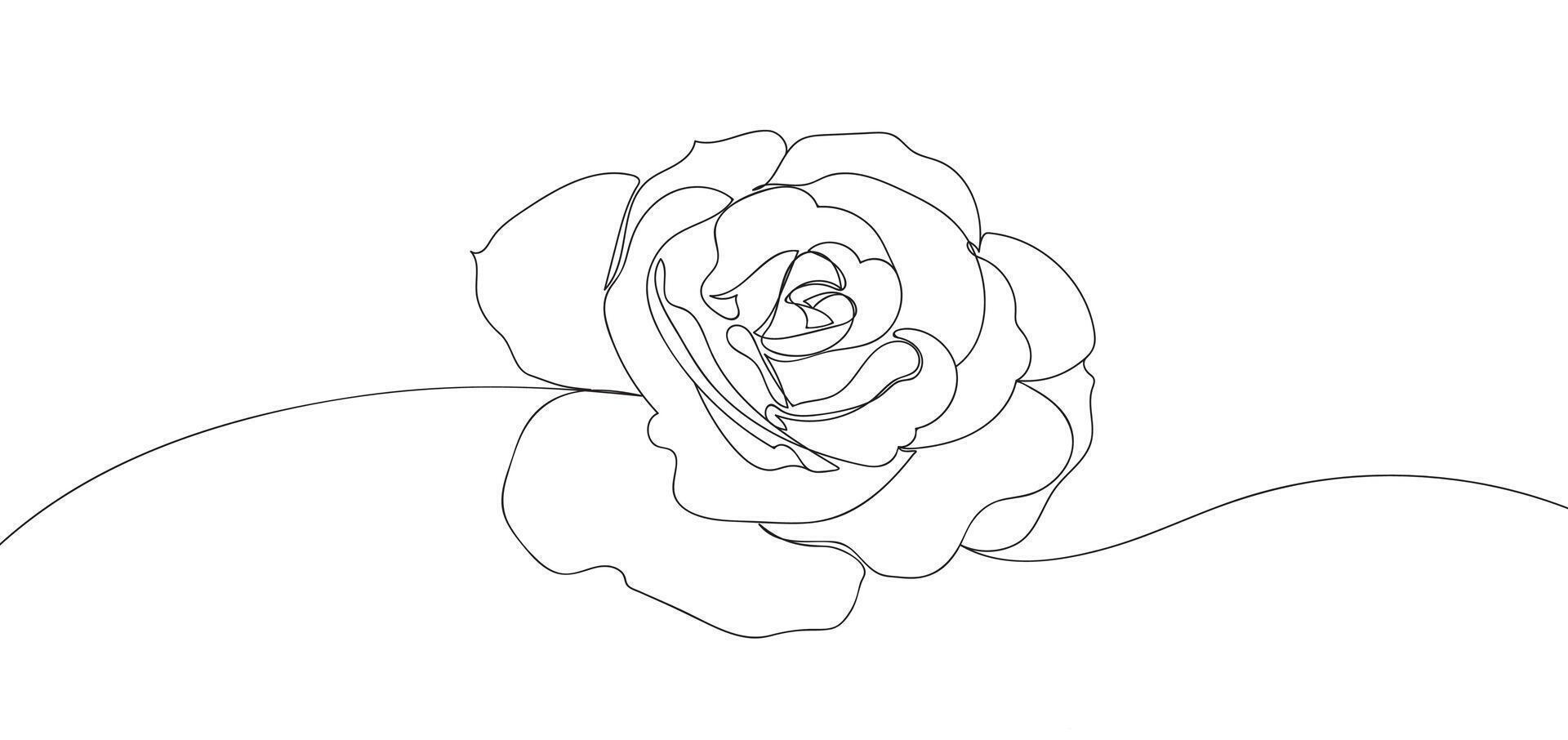 Rosa flor en soltero continuo línea dibujo estilo para logo o emblema. moderno vector ilustración