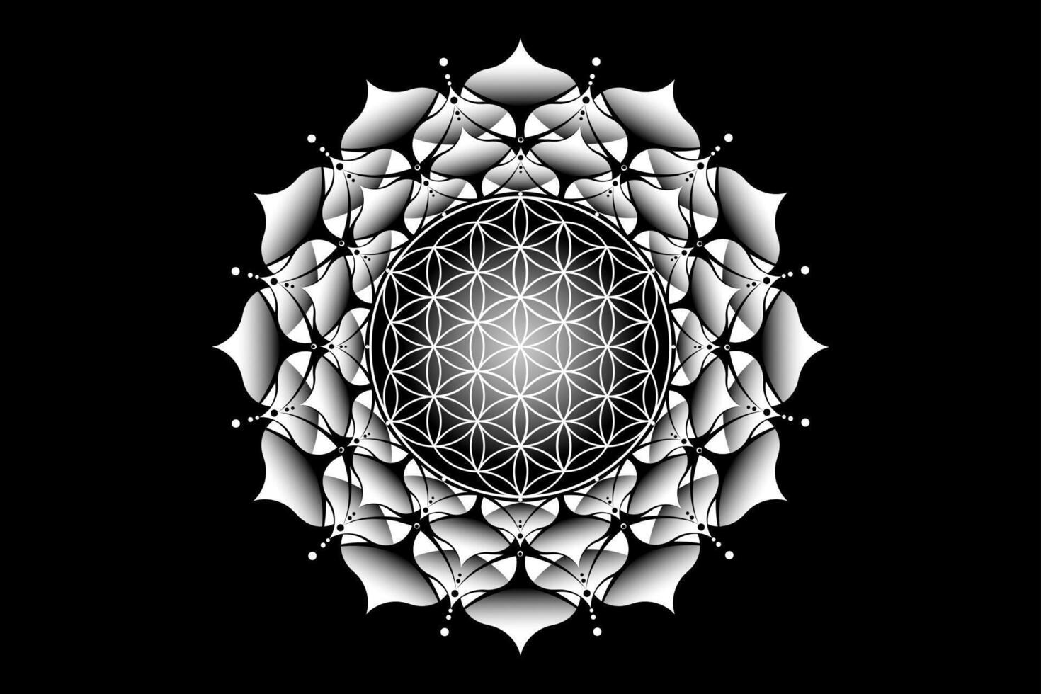 Sacred lotus yantra mandala, Mystical Flower of Life. Sacred geometry, vector logo graphic element isolated. Mystic icon seed of life, geometric drawing sign, esoteric lotus flower on black background