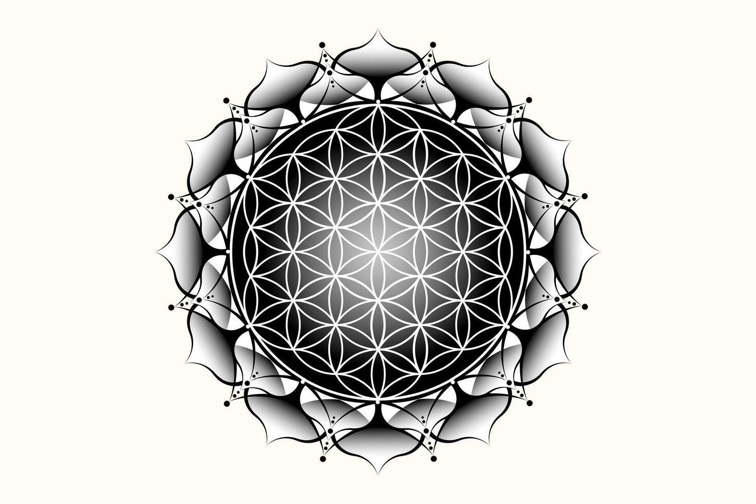 Sacred lotus yantra mandala, Mystical Flower of Life. Sacred geometry, vector logo graphic element isolated. Mystic icon seed of life, geometric drawing sign, esoteric lotus flower on white background