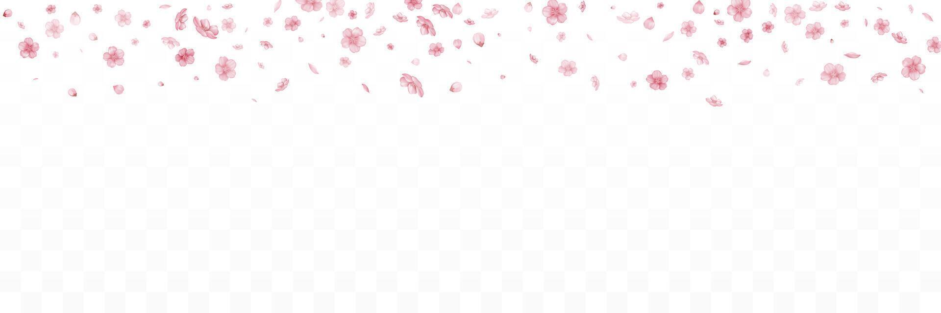 Falling flowers and petals of pink sakura. Vector illustration.