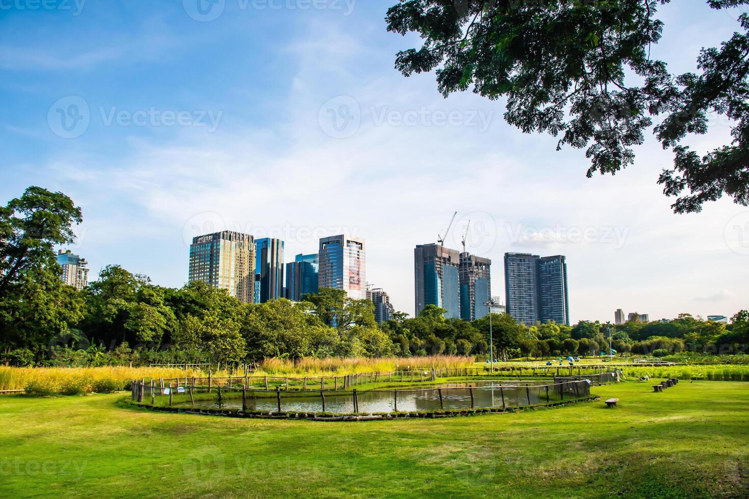 city building and the park photo