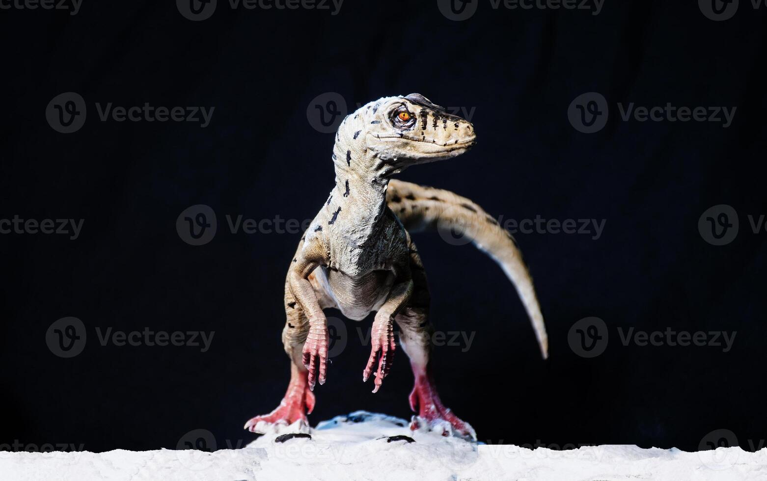 Velociraptor dinosaur  in the dark photo