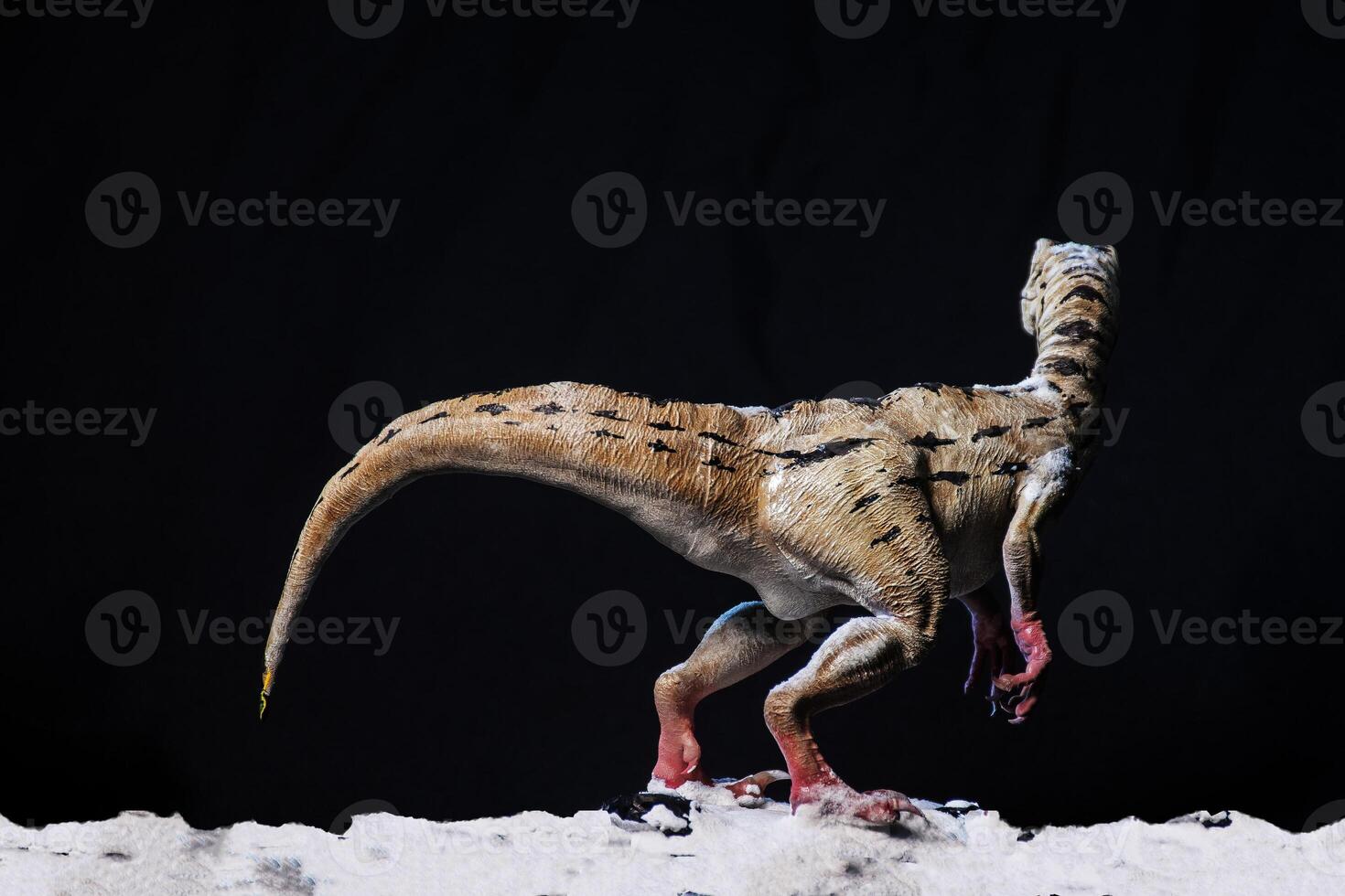 velociraptor dinosaurio en el oscuro foto