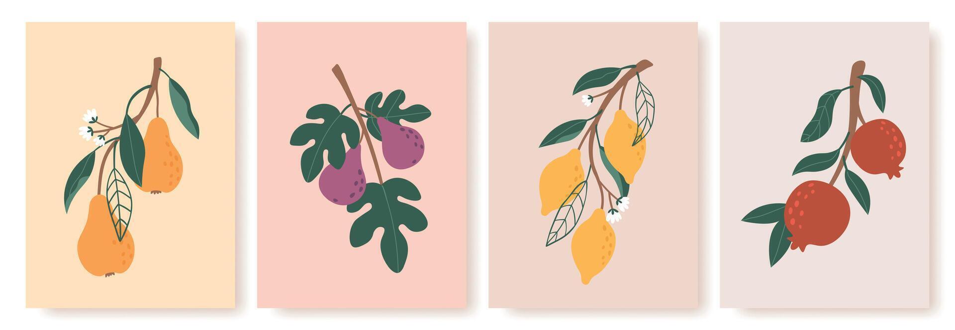 Abstract fruit poster. Modern prints with summer fruits, leaves and flowers. Lemon, pear and fig branches in minimalist art style vector set