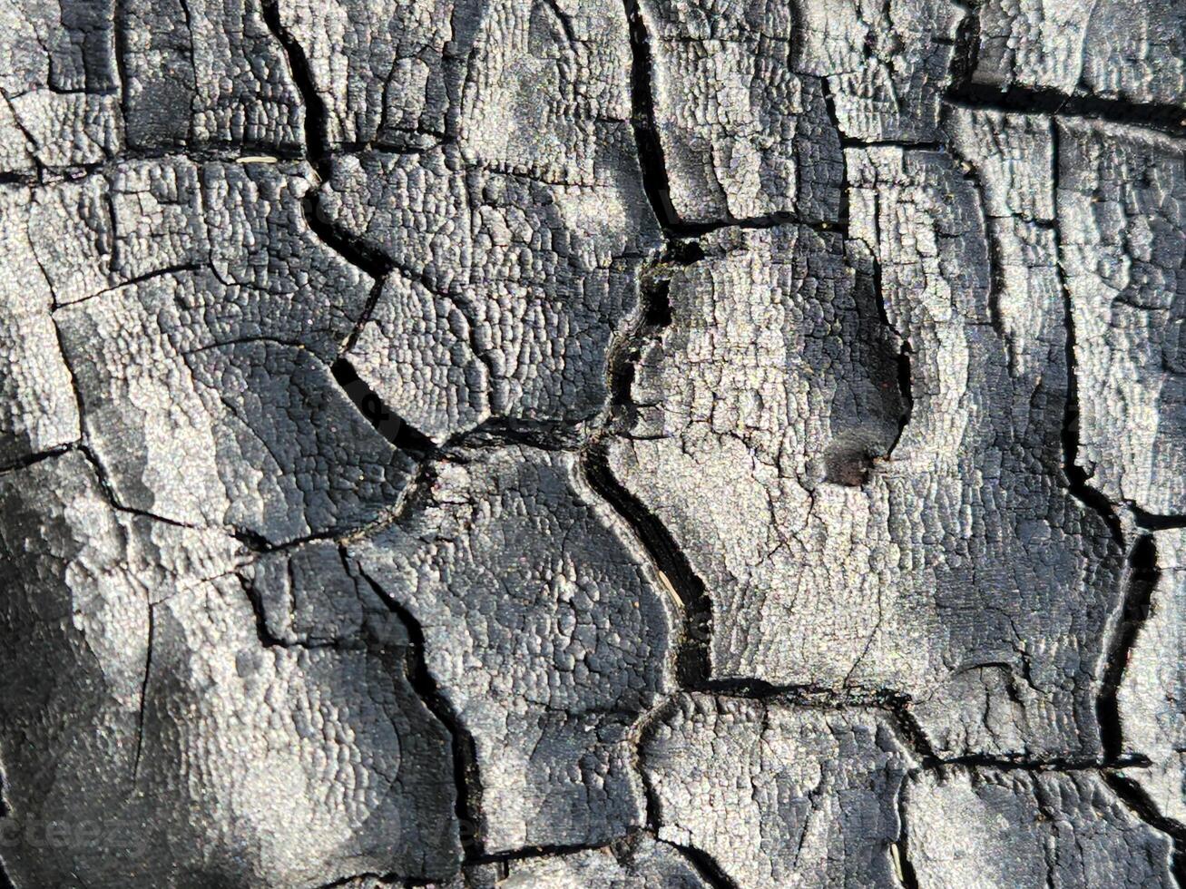 Burnt wood surface. Wood after a fire. Burnt wood texture photo