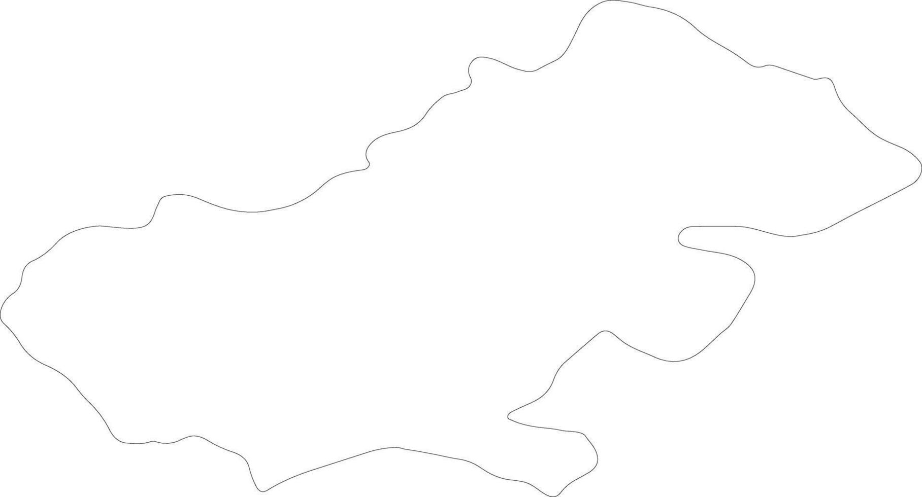 Satu Mare Romania outline map vector