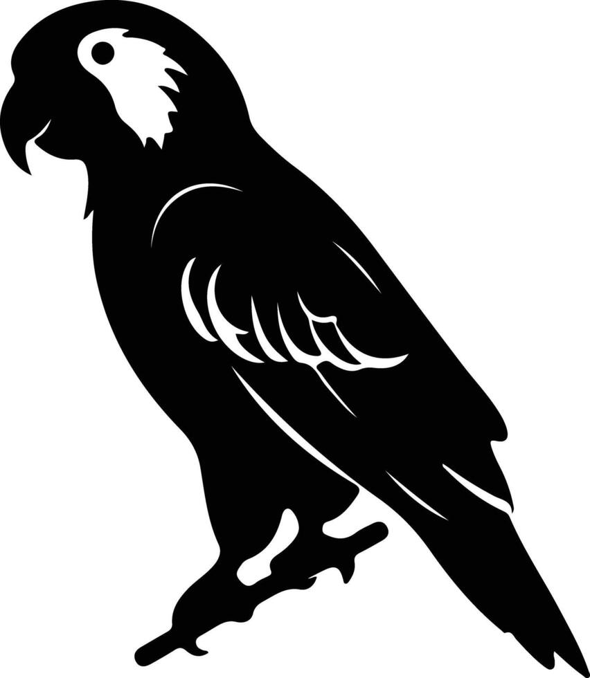 loro gris africano negro silueta vector