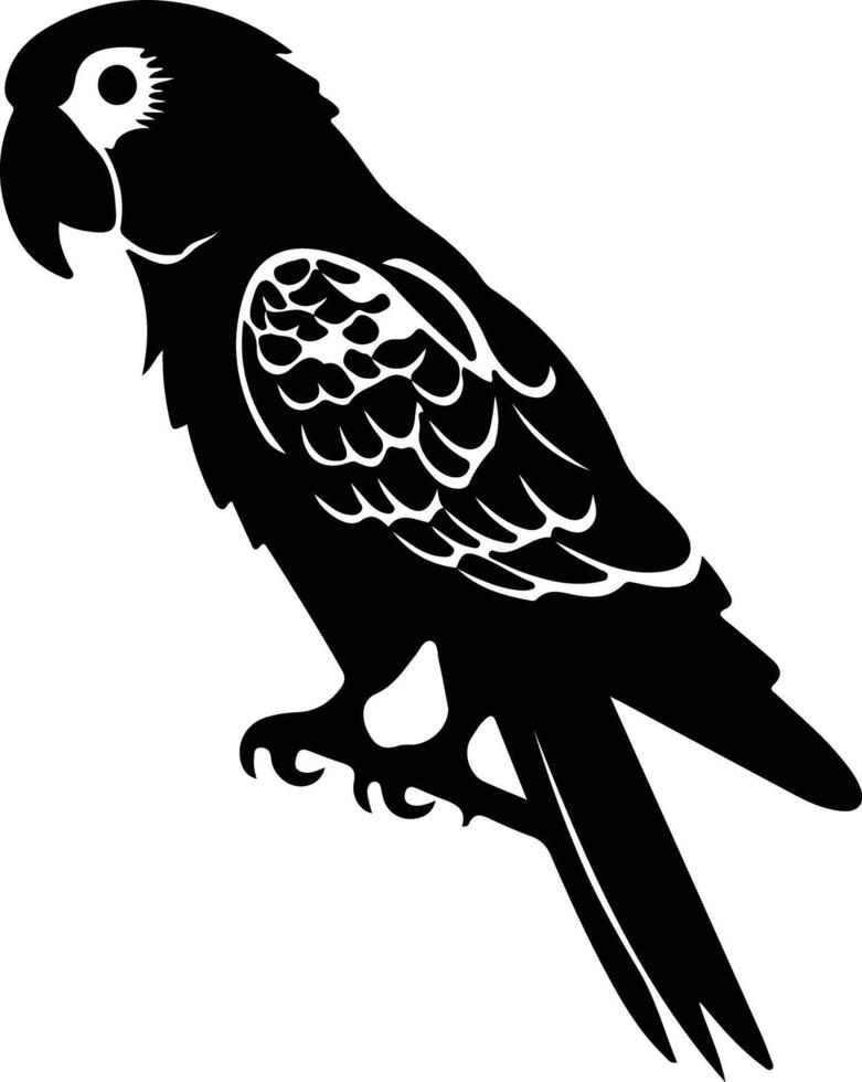 loro gris africano negro silueta vector