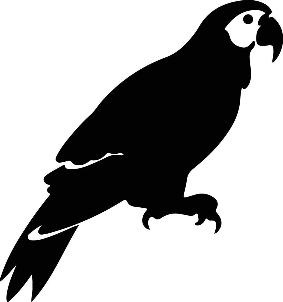 Africangrayparrot black silhouette vector