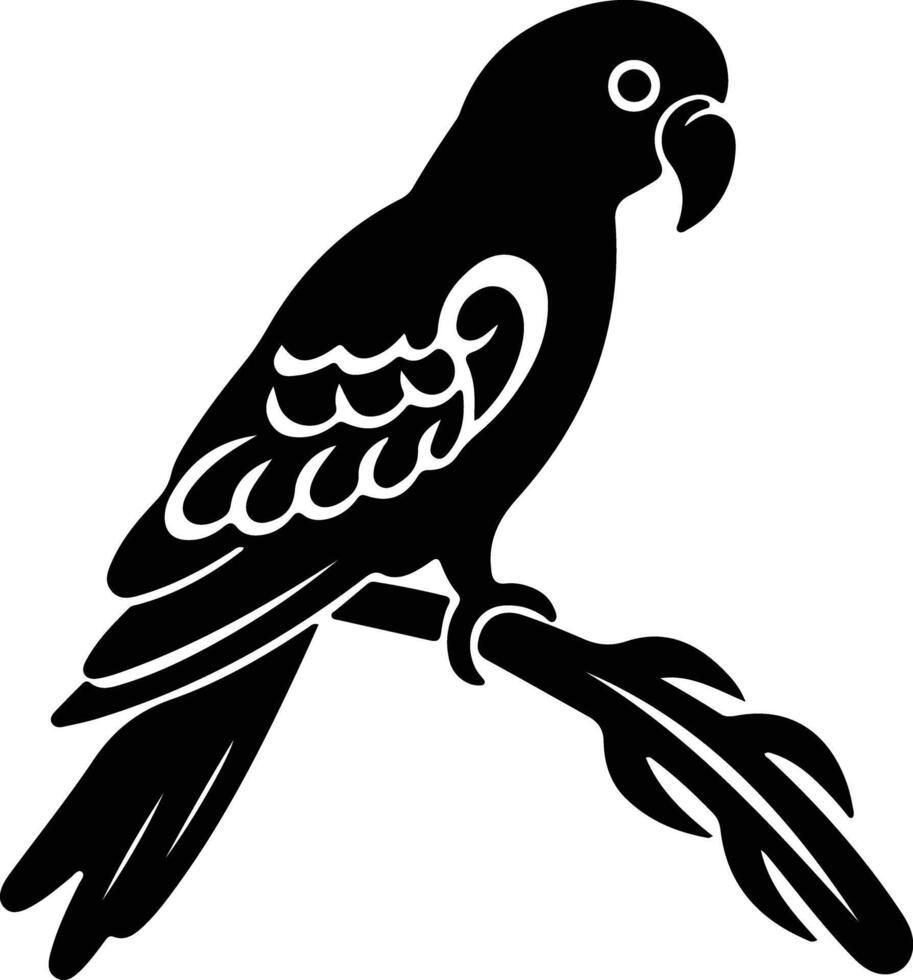 Africangrayparrot black silhouette vector