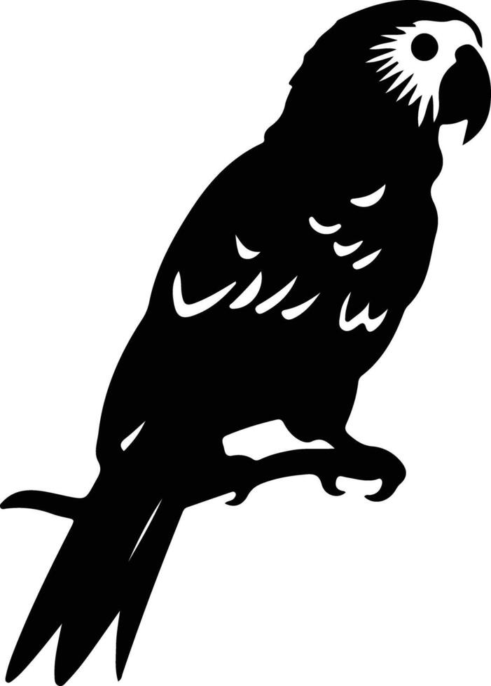 loro gris africano negro silueta vector