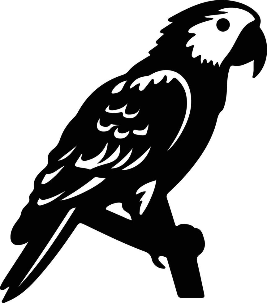 Africangrayparrot black silhouette vector