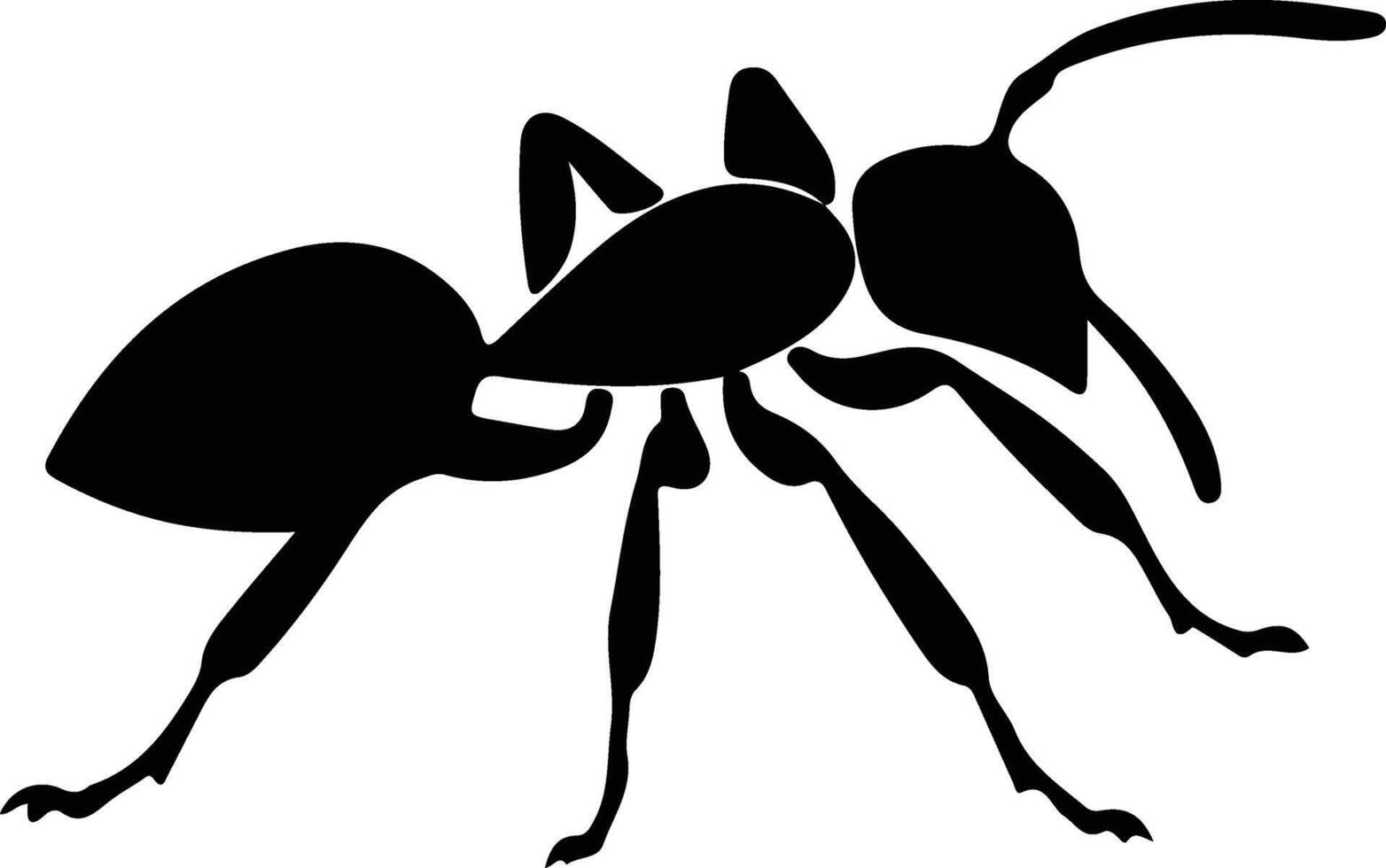 ant black silhouette vector