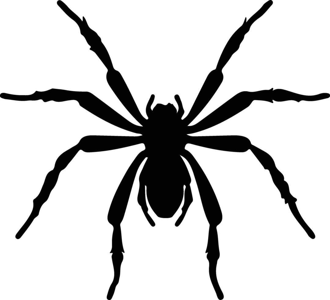 arácnido negro silueta vector