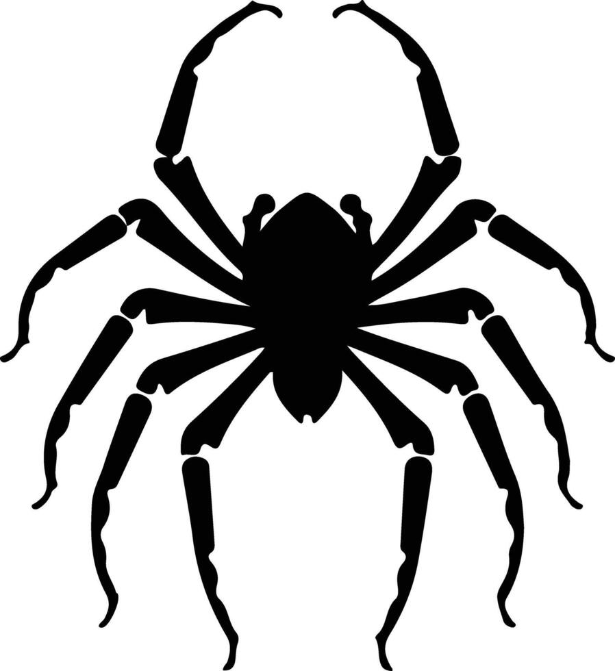 arachnid black silhouette vector