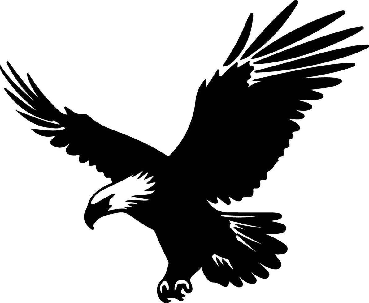 Águila calva negro silueta vector