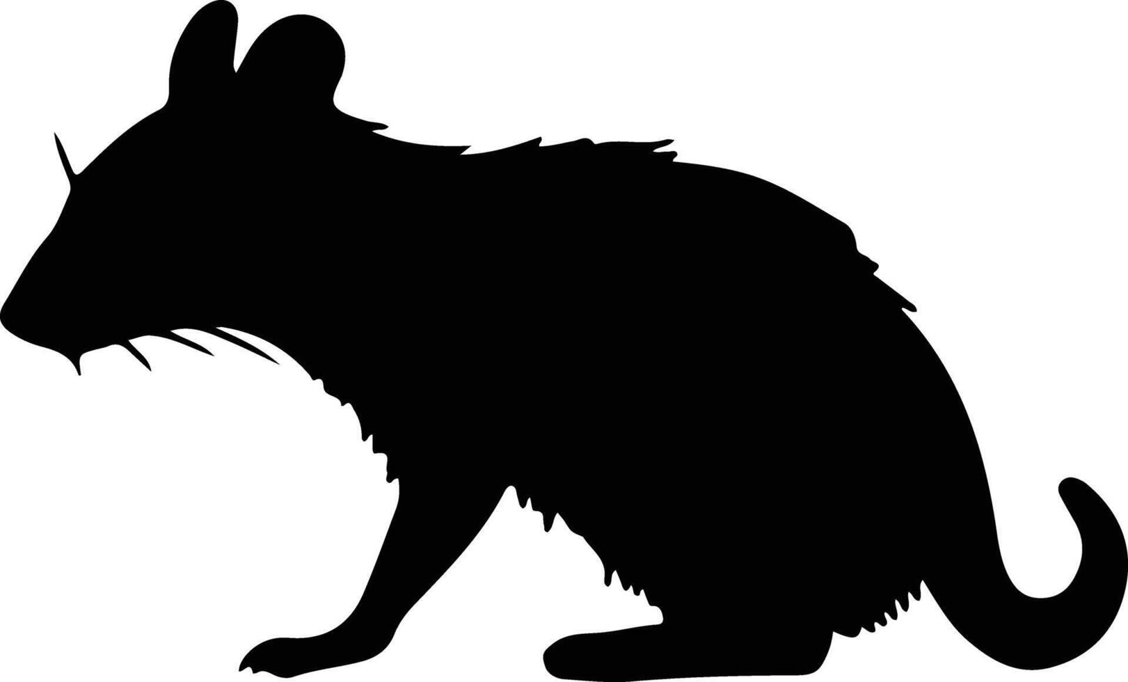 bandicoot black silhouette vector