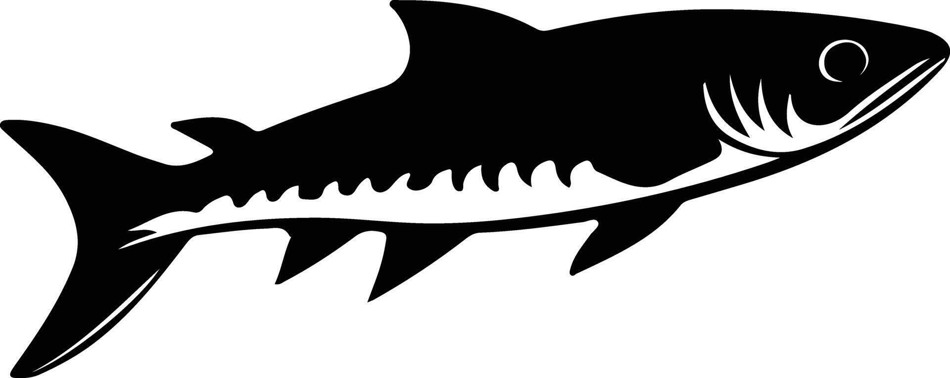 barracuda black silhouette vector