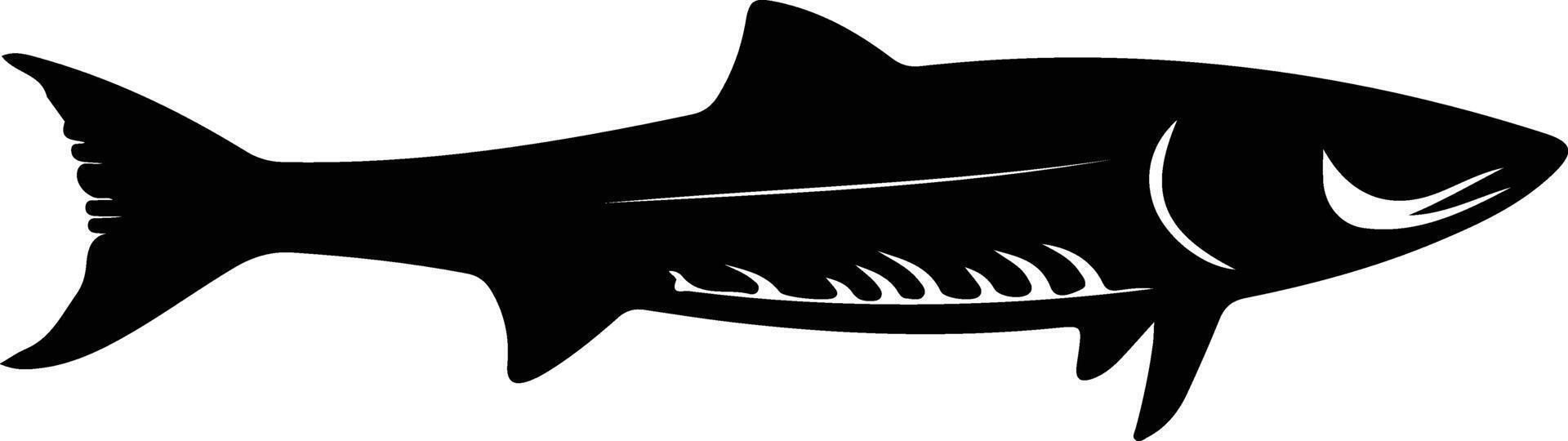 barracuda black silhouette vector