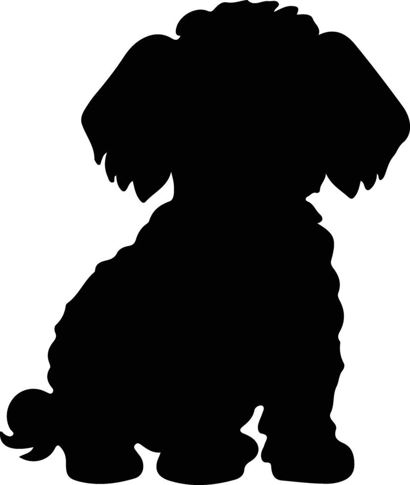 bichonfrise black silhouette vector