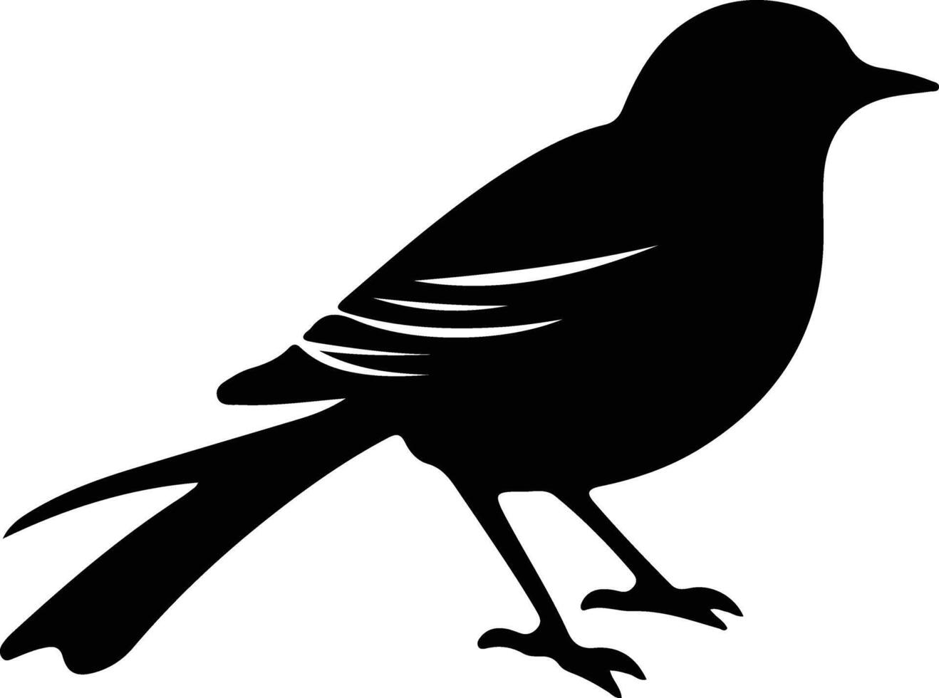 pájaro negro silueta vector