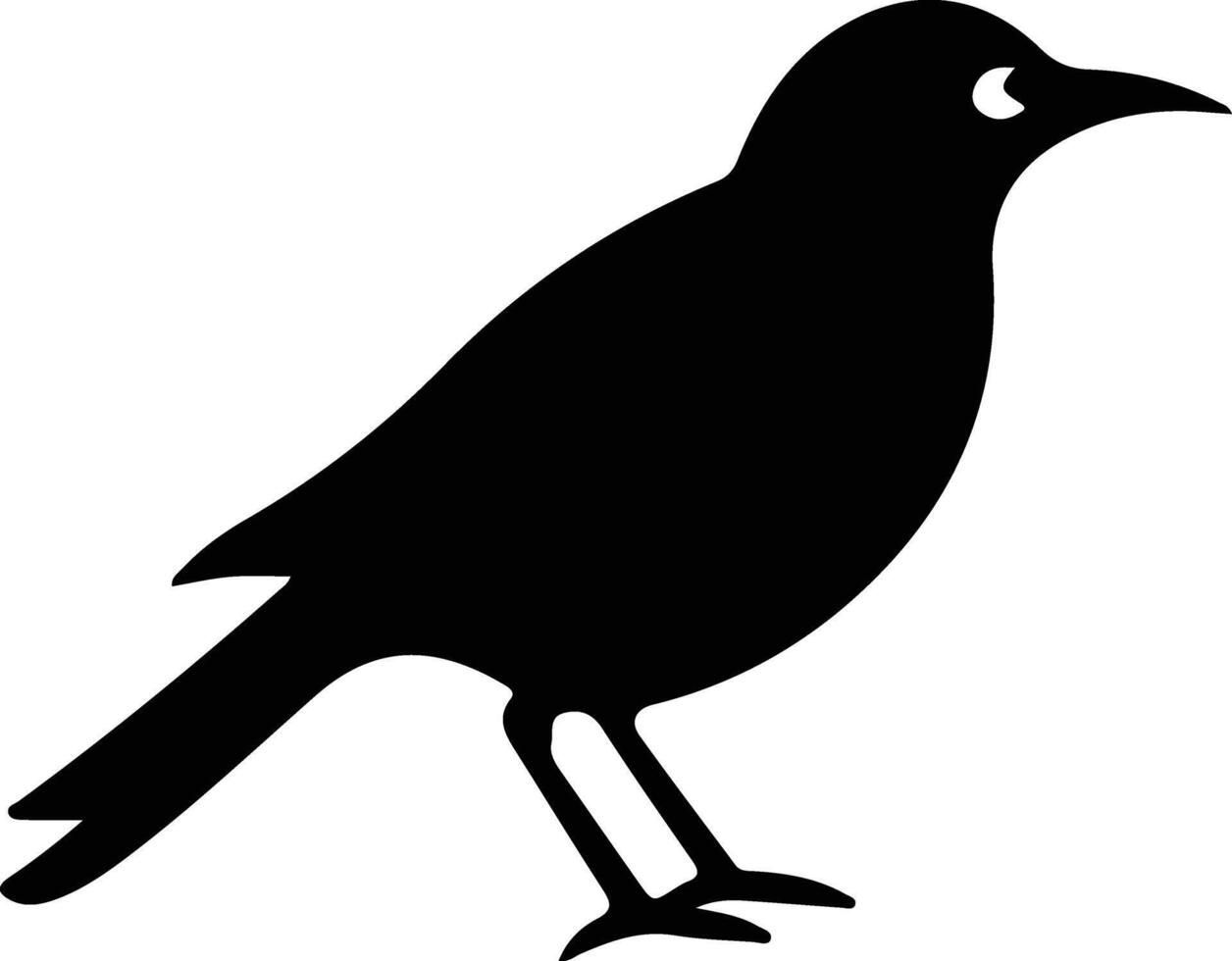 bird black silhouette vector