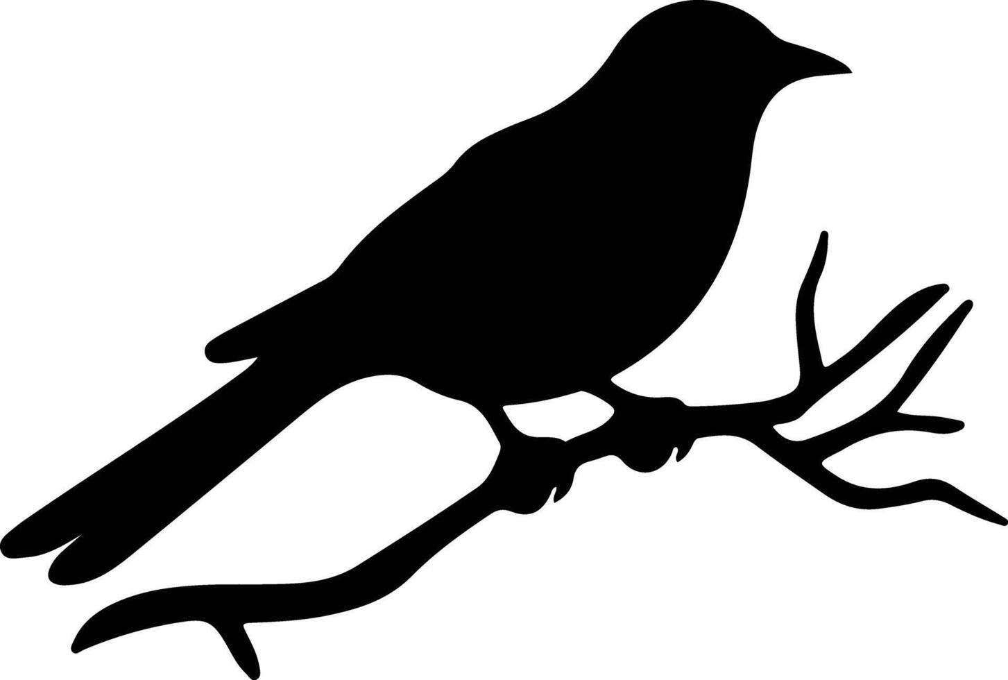 bird black silhouette vector