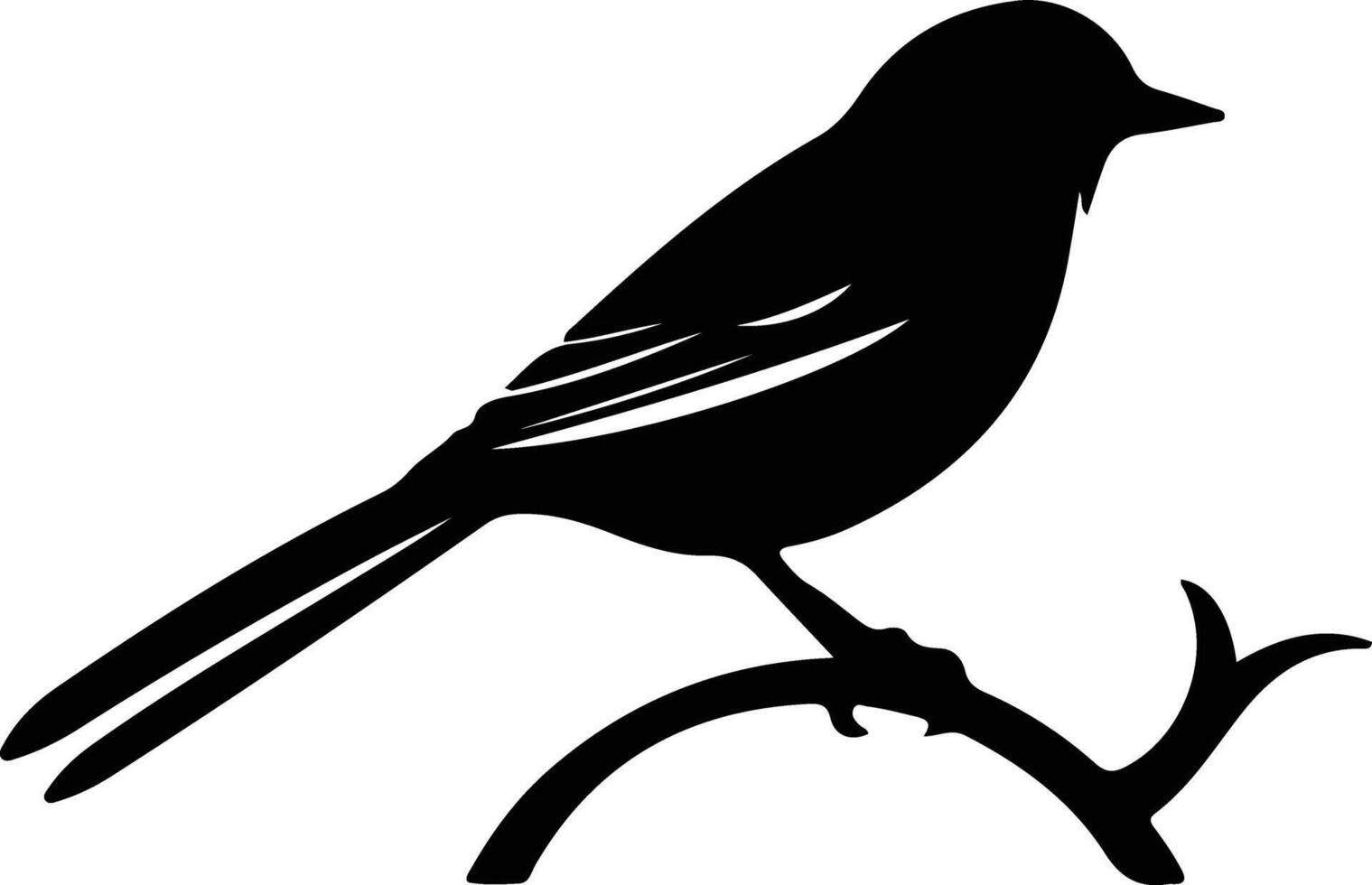 bird black silhouette vector