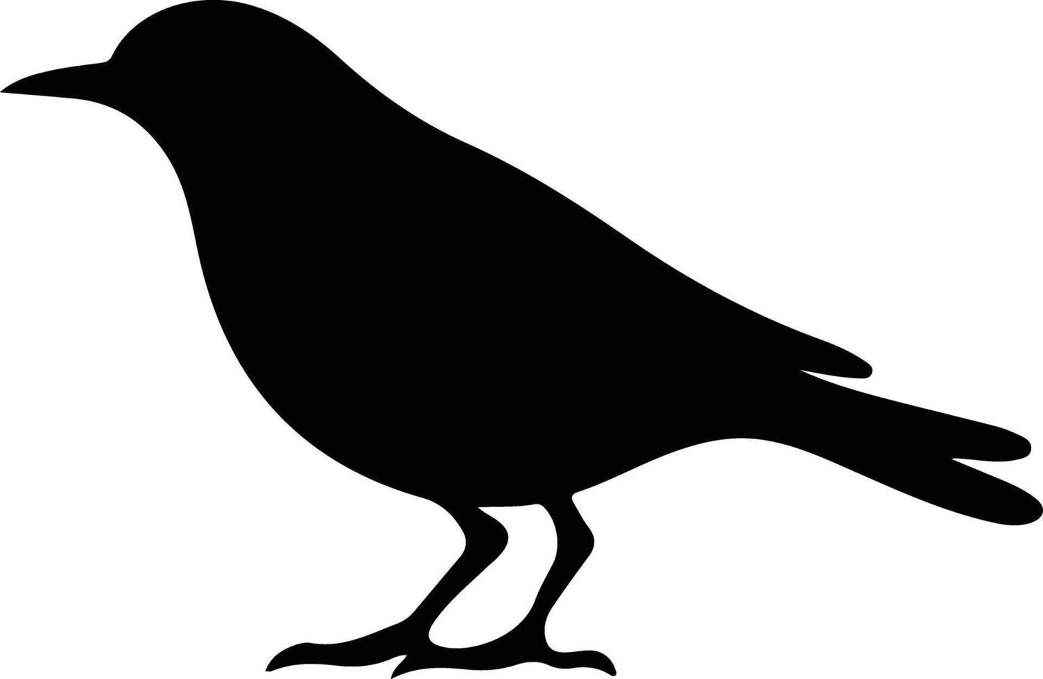 blackbird black silhouette vector