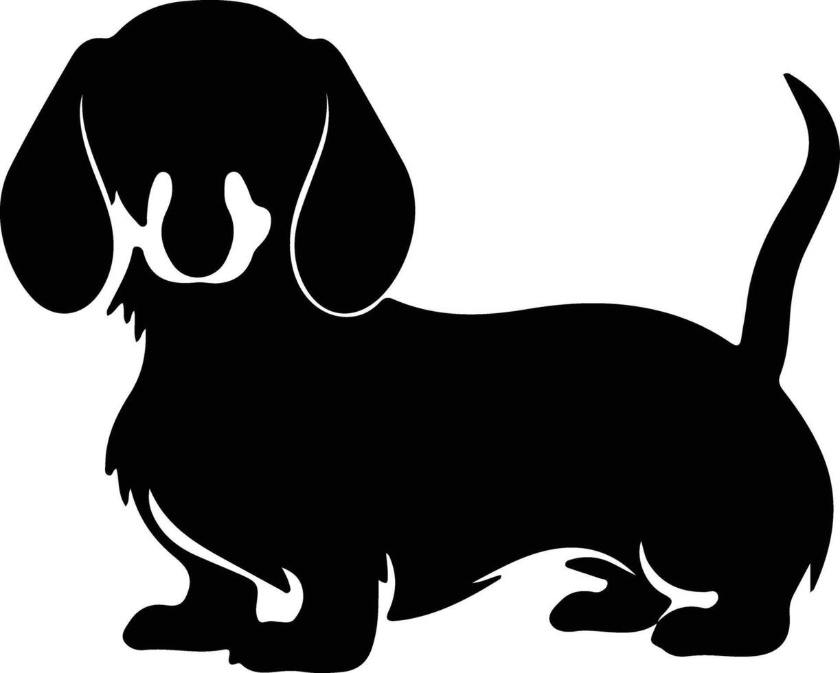 Dachshund black silhouette vector