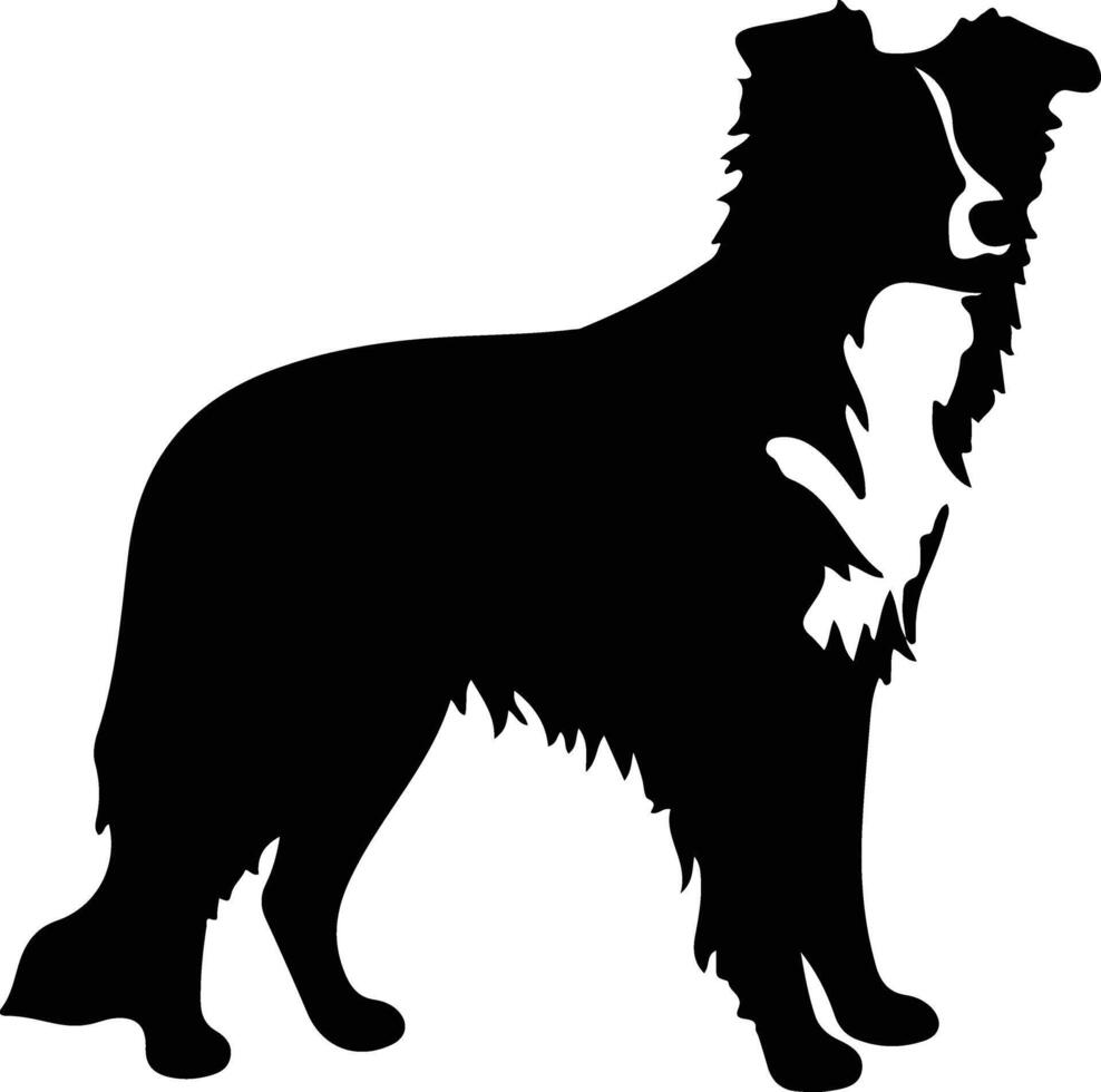 silueta de collie de frontera vector