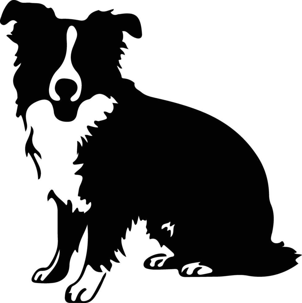 silueta de collie de frontera vector