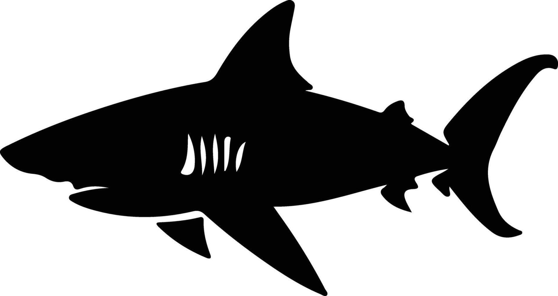 bull shark black silhouette vector