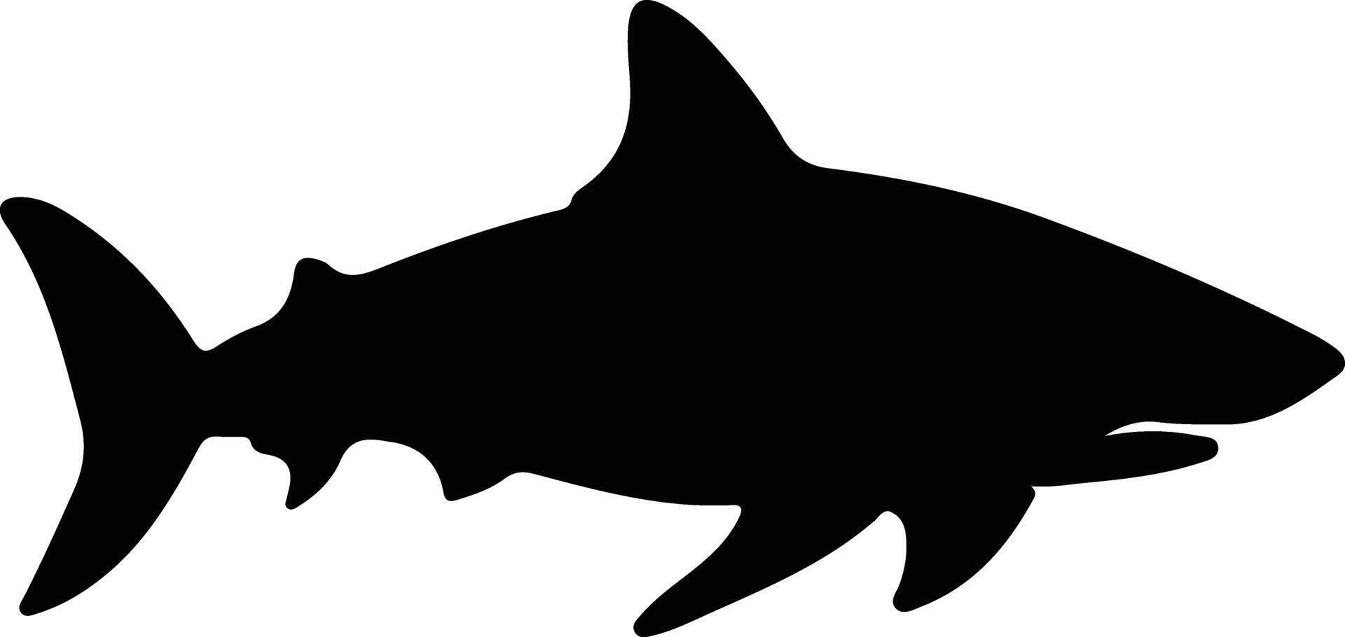bull shark black silhouette vector