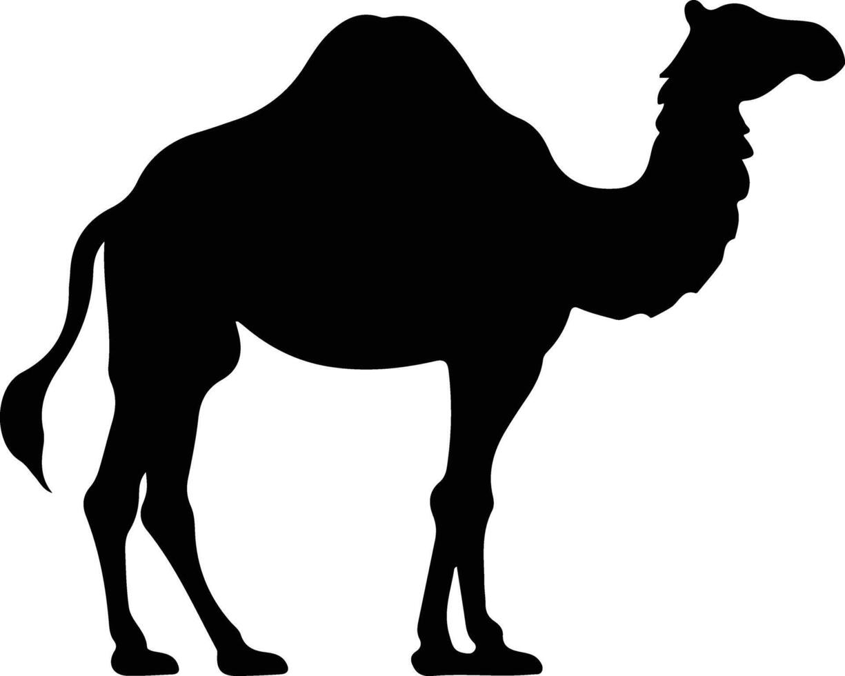 camel black silhouette vector