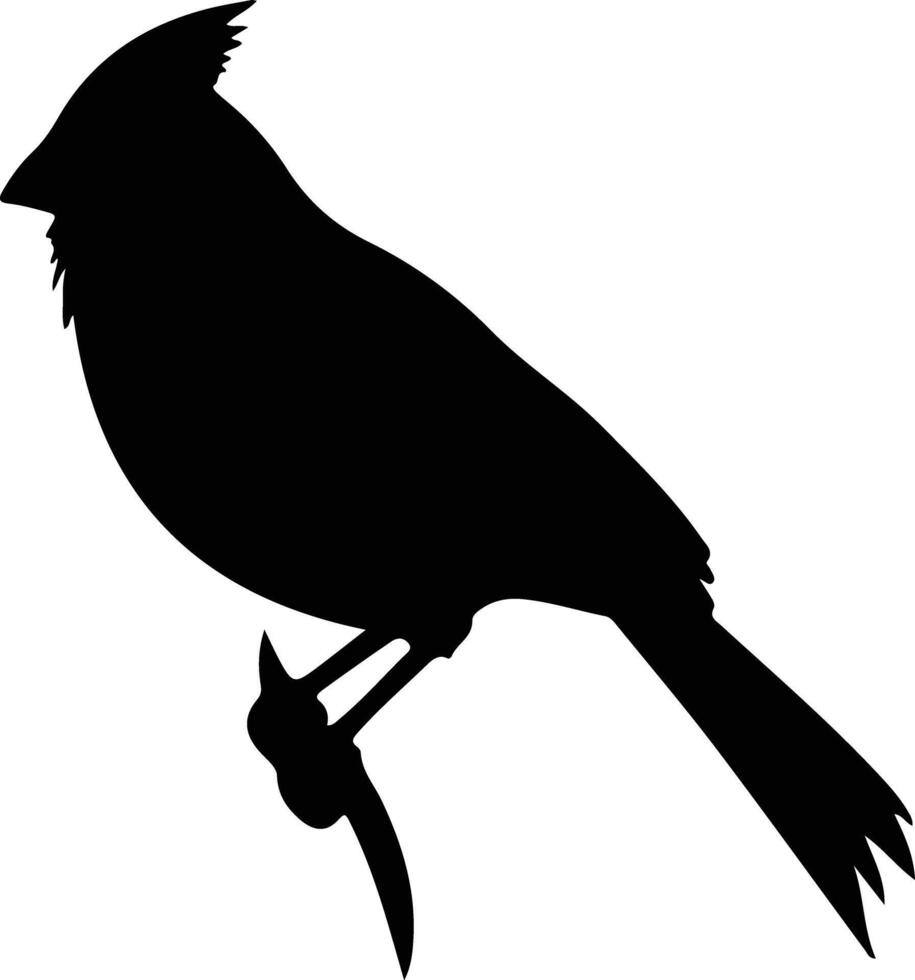 cardinal black silhouette vector