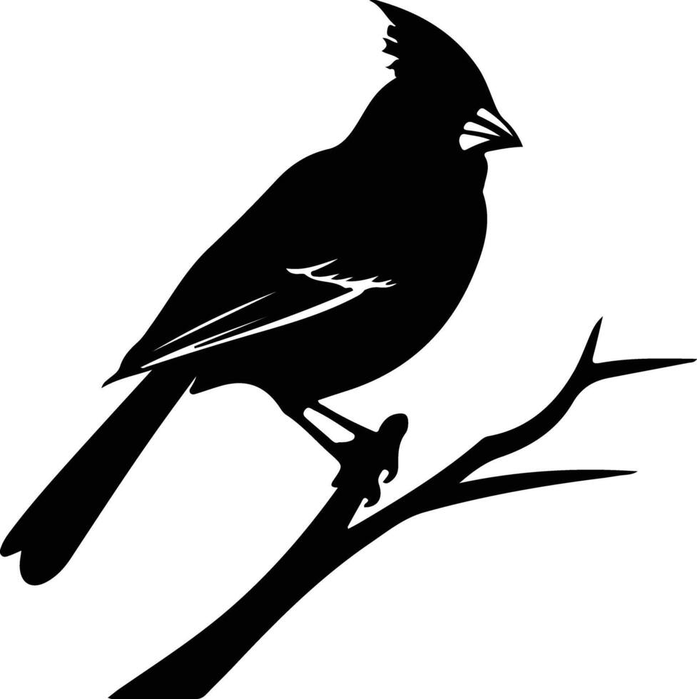 cardinal black silhouette vector