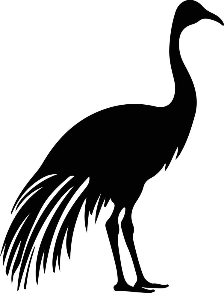 cassowary black silhouette vector