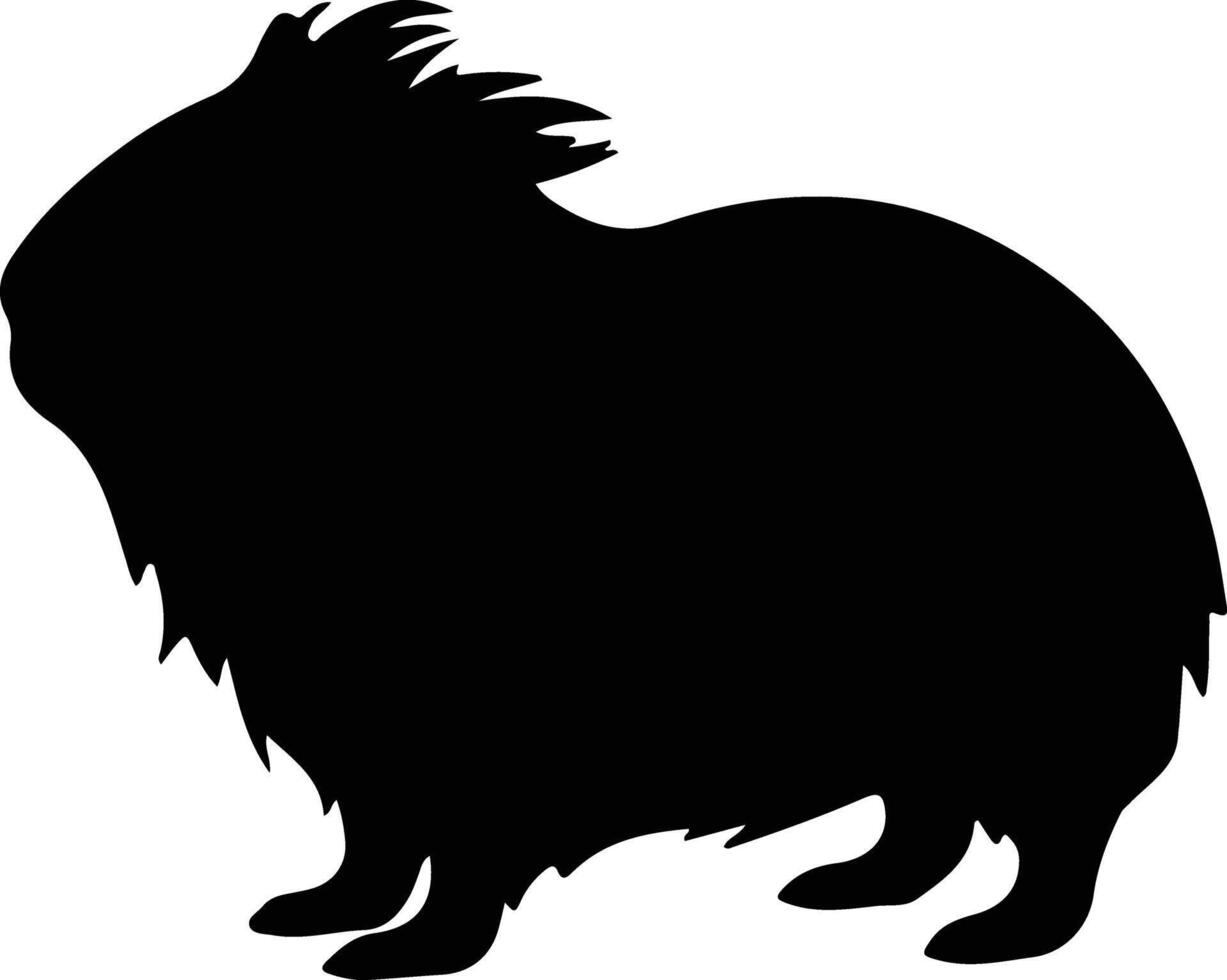 cavy black silhouette vector