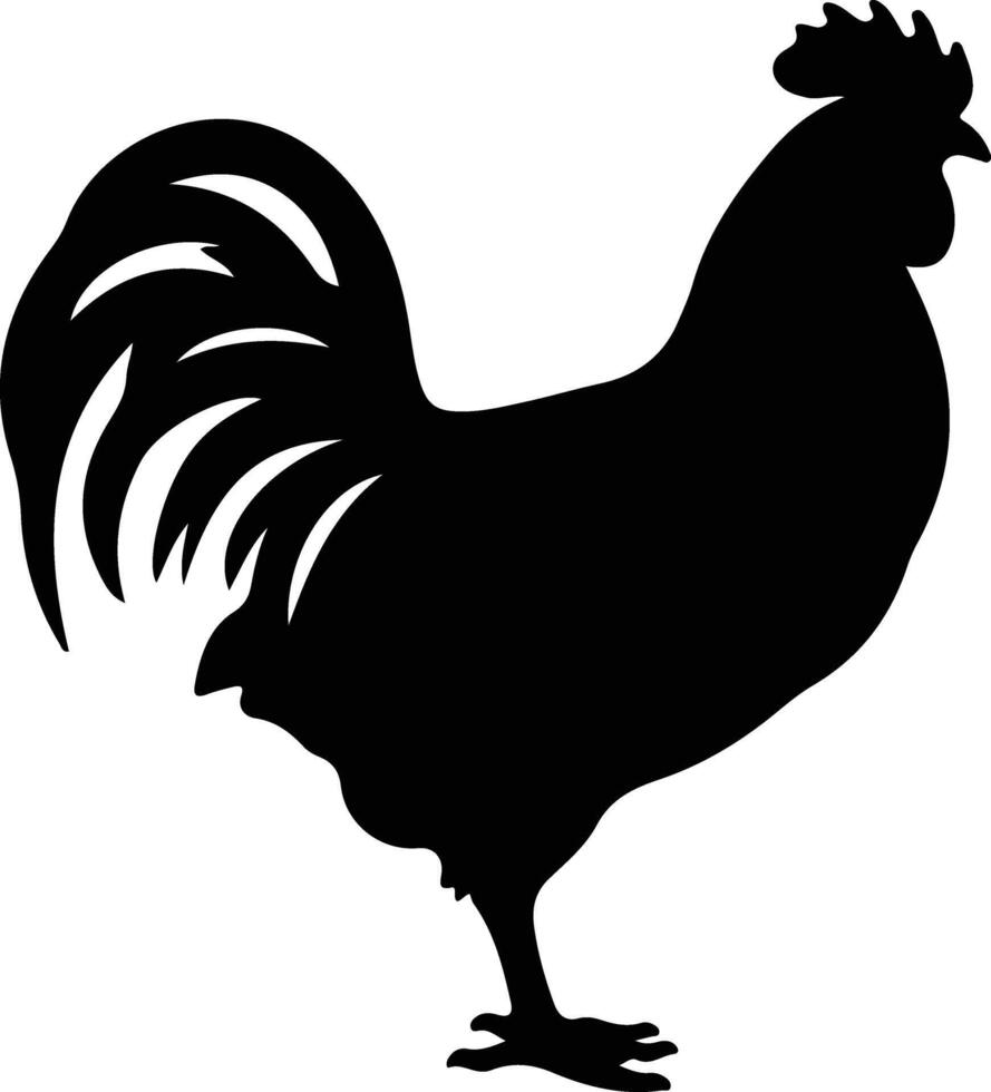 pollo negro silueta vector