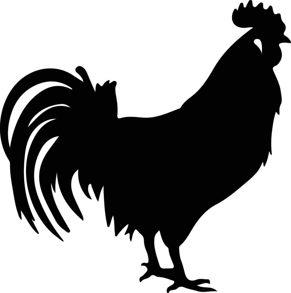 pollo negro silueta vector