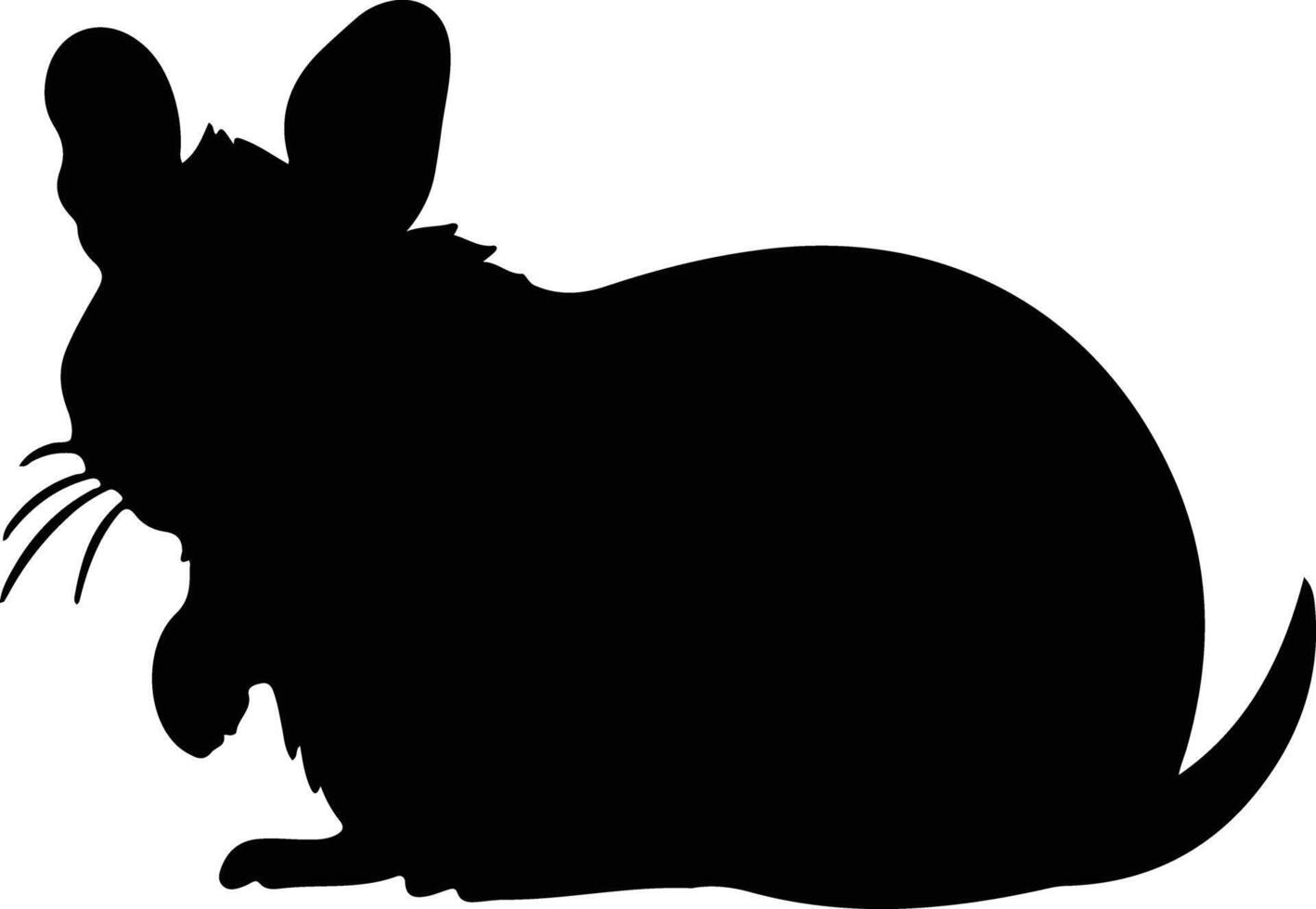 chinchilla black silhouette vector