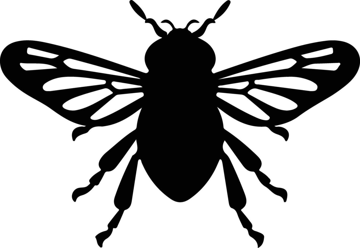 cicada black silhouette vector