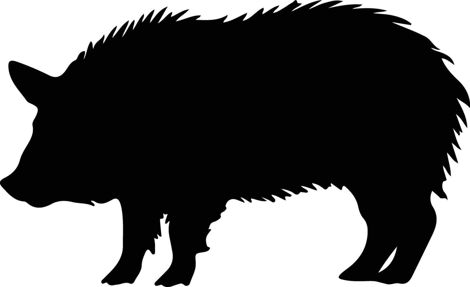 collared peccary black silhouette vector